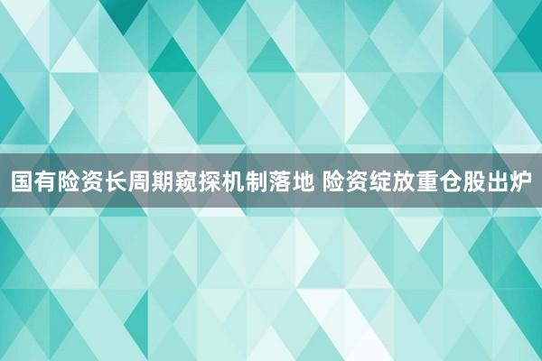 国有险资长周期窥探机制落地 险资绽放重仓股出炉