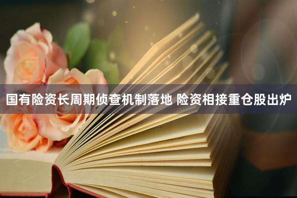国有险资长周期侦查机制落地 险资相接重仓股出炉