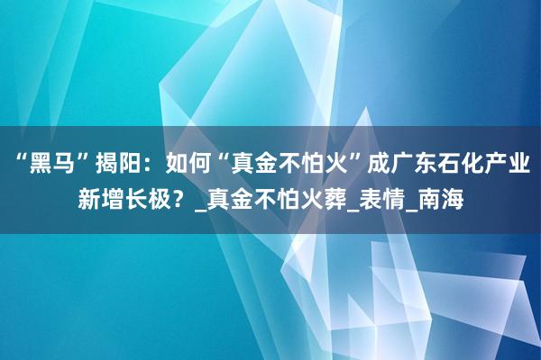 “黑马”揭阳：如何“真金不怕火”成广东石化产业新增长极？_真金不怕火葬_表情_南海