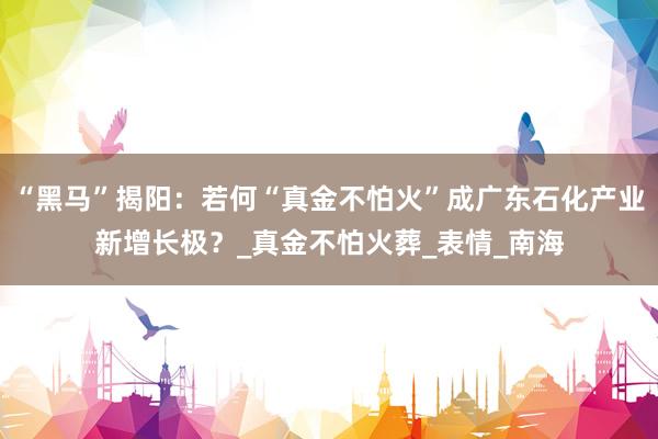 “黑马”揭阳：若何“真金不怕火”成广东石化产业新增长极？_真金不怕火葬_表情_南海