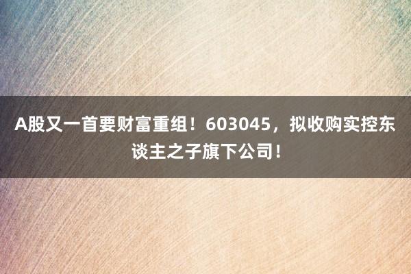A股又一首要财富重组！603045，拟收购实控东谈主之子旗下公司！