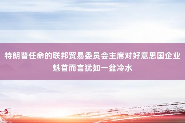 特朗普任命的联邦贸易委员会主席对好意思国企业魁首而言犹如一盆冷水
