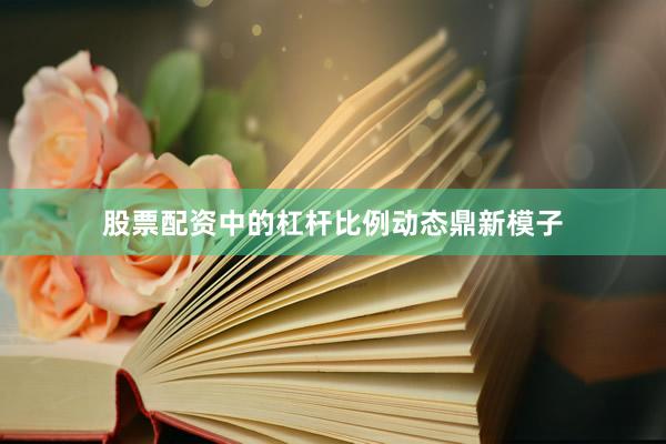 股票配资中的杠杆比例动态鼎新模子