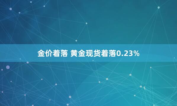 金价着落 黄金现货着落0.23%