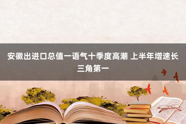 安徽出进口总值一语气十季度高潮 上半年增速长三角第一