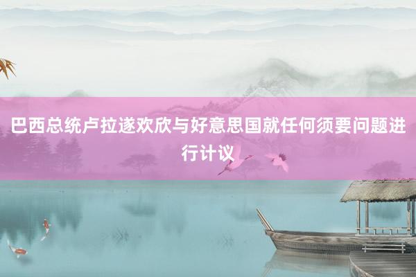 巴西总统卢拉遂欢欣与好意思国就任何须要问题进行计议