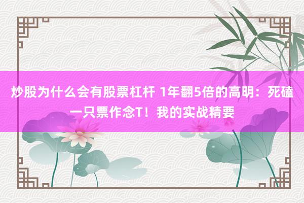 炒股为什么会有股票杠杆 1年翻5倍的高明：死磕一只票作念T！我的实战精要