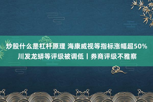 炒股什么是杠杆原理 海康威视等指标涨幅超50% 川发龙蟒等评级被调低丨券商评级不雅察