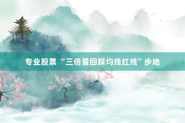 专业股票 “三倍量回踩均线红线”步地