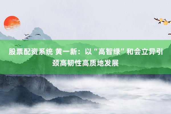 股票配资系统 黄一新：以“高智绿”和会立异引颈高韧性高质地发展