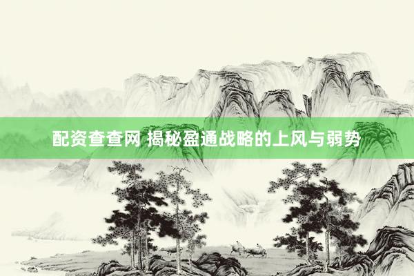 配资查查网 揭秘盈通战略的上风与弱势