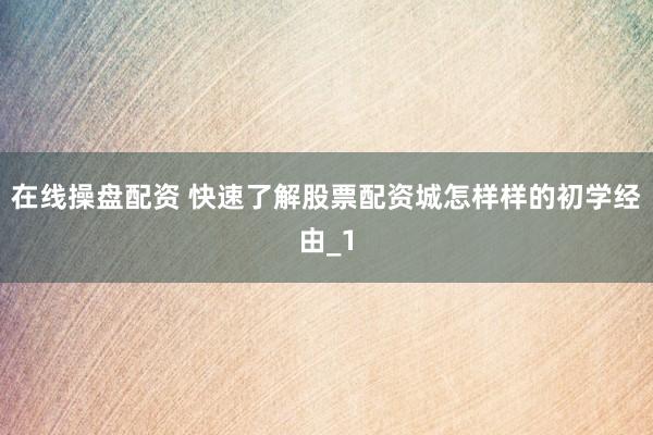 在线操盘配资 快速了解股票配资城怎样样的初学经由_1