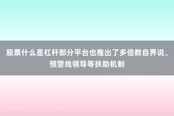 股票什么是杠杆部分平台也推出了多倍数自界说、预警线领导等扶助机制
