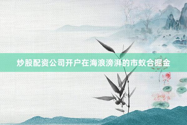 炒股配资公司开户在海浪滂湃的市蚁合掘金