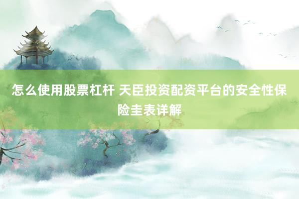 怎么使用股票杠杆 天臣投资配资平台的安全性保险圭表详解