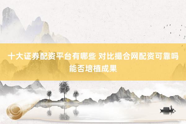 十大证券配资平台有哪些 对比撮合网配资可靠吗能否培植成果
