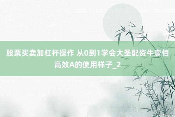 股票买卖加杠杆操作 从0到1学会大圣配资牛壹佰高效A的使用样子_2