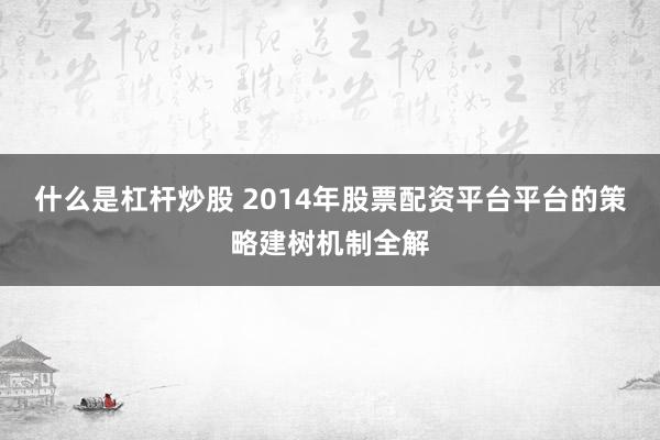 什么是杠杆炒股 2014年股票配资平台平台的策略建树机制全解