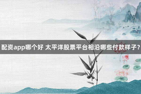 配资app哪个好 太平洋股票平台相沿哪些付款样子？