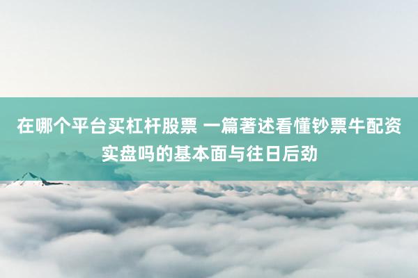 在哪个平台买杠杆股票 一篇著述看懂钞票牛配资实盘吗的基本面与往日后劲
