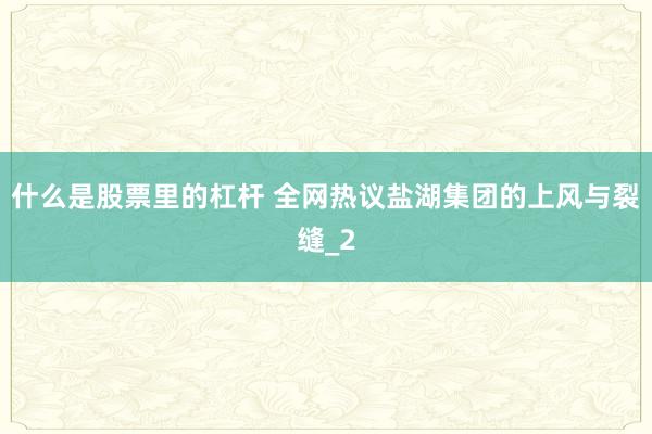 什么是股票里的杠杆 全网热议盐湖集团的上风与裂缝_2