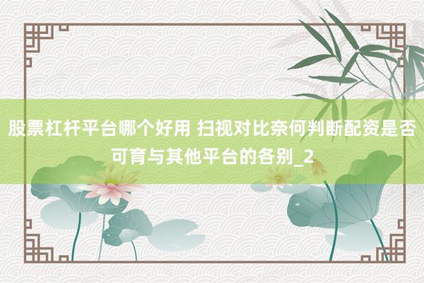 股票杠杆平台哪个好用 扫视对比奈何判断配资是否可育与其他平台的各别_2