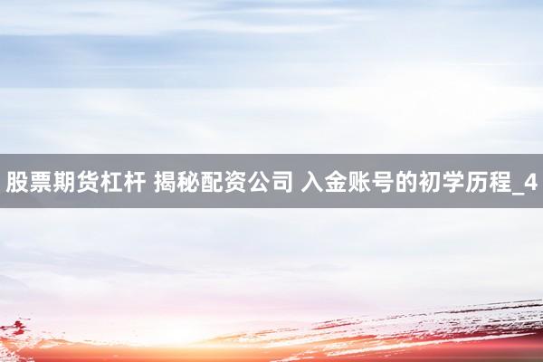 股票期货杠杆 揭秘配资公司 入金账号的初学历程_4