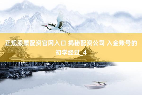 正规股票配资官网入口 揭秘配资公司 入金账号的初学经过_4