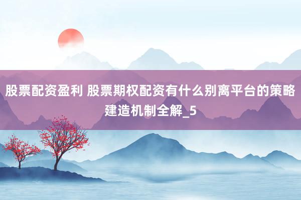 股票配资盈利 股票期权配资有什么别离平台的策略建造机制全解_5