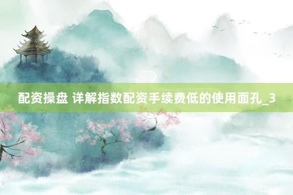 配资操盘 详解指数配资手续费低的使用面孔_3