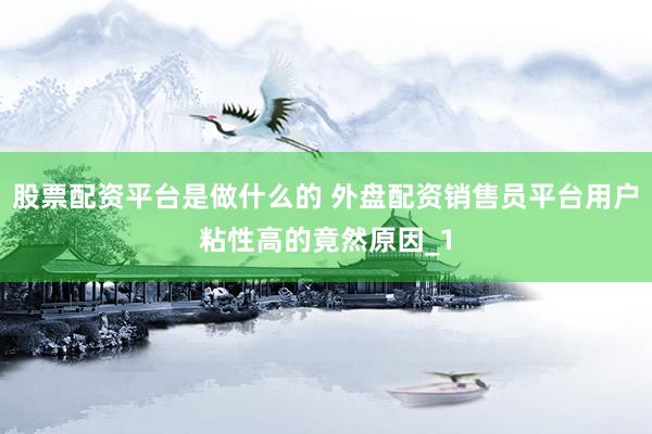 股票配资平台是做什么的 外盘配资销售员平台用户粘性高的竟然原因_1