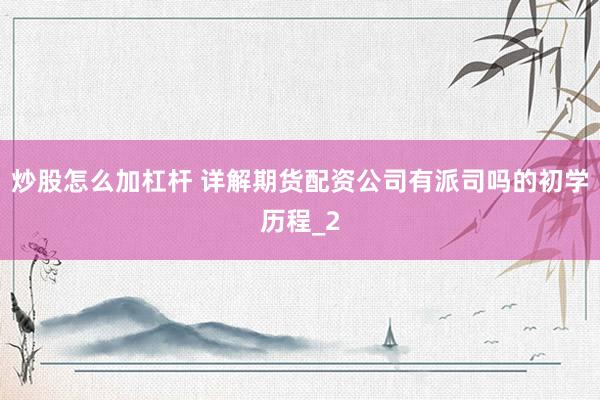 炒股怎么加杠杆 详解期货配资公司有派司吗的初学历程_2