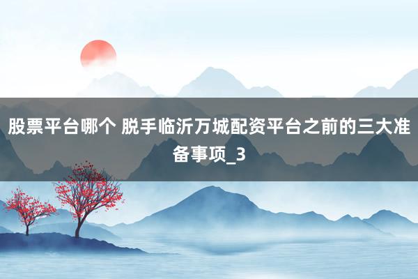 股票平台哪个 脱手临沂万城配资平台之前的三大准备事项_3