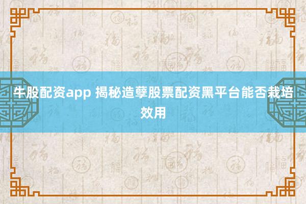 牛股配资app 揭秘造孽股票配资黑平台能否栽培效用