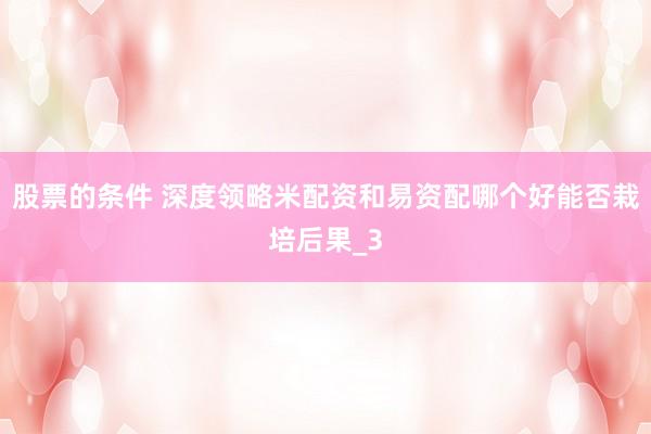 股票的条件 深度领略米配资和易资配哪个好能否栽培后果_3