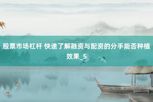 股票市场杠杆 快速了解融资与配资的分手能否种植效果_5