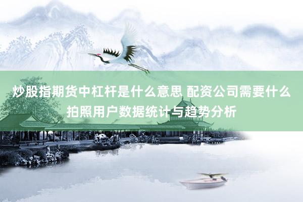 炒股指期货中杠杆是什么意思 配资公司需要什么拍照用户数据统计与趋势分析