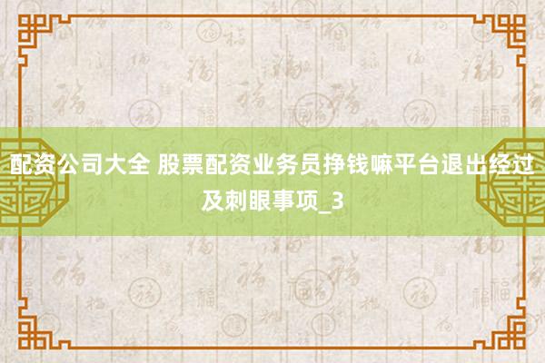 配资公司大全 股票配资业务员挣钱嘛平台退出经过及刺眼事项_3