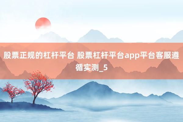 股票正规的杠杆平台 股票杠杆平台app平台客服遵循实测_5