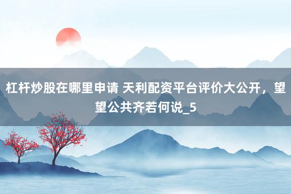 杠杆炒股在哪里申请 天利配资平台评价大公开，望望公共齐若何说_5