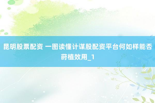 昆明股票配资 一图读懂计谋股配资平台何如样能否莳植效用_1